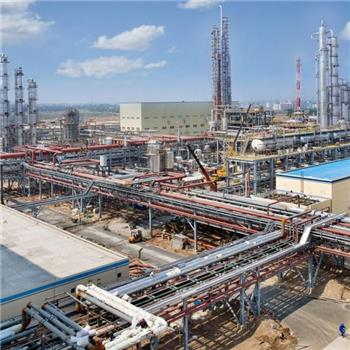 江蘇農(nóng)藥化工廠用PH計