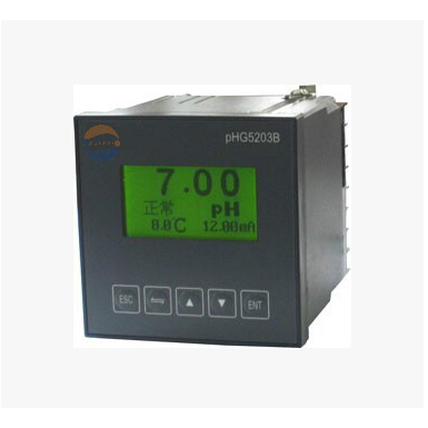 中文在線PH計(jì),在線PH計(jì),pHG5203B-S
