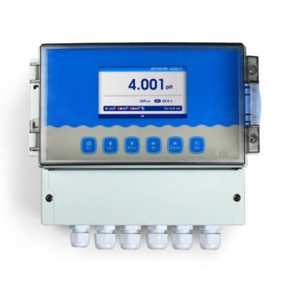 在線(xiàn)pH/ORP計(jì) PHG6500-S型